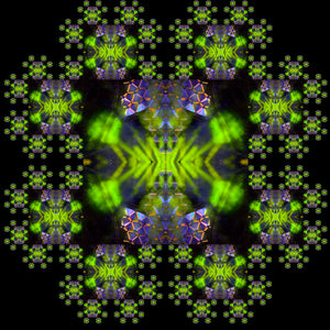 Phermutation™ - Light Fractal 7207